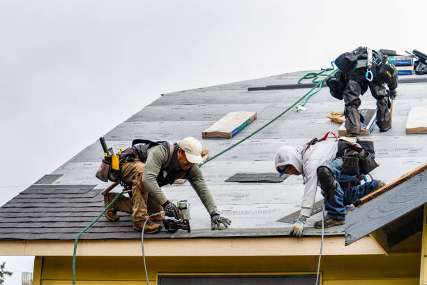 Professional Gutter Installation technician working in Ferris, TX